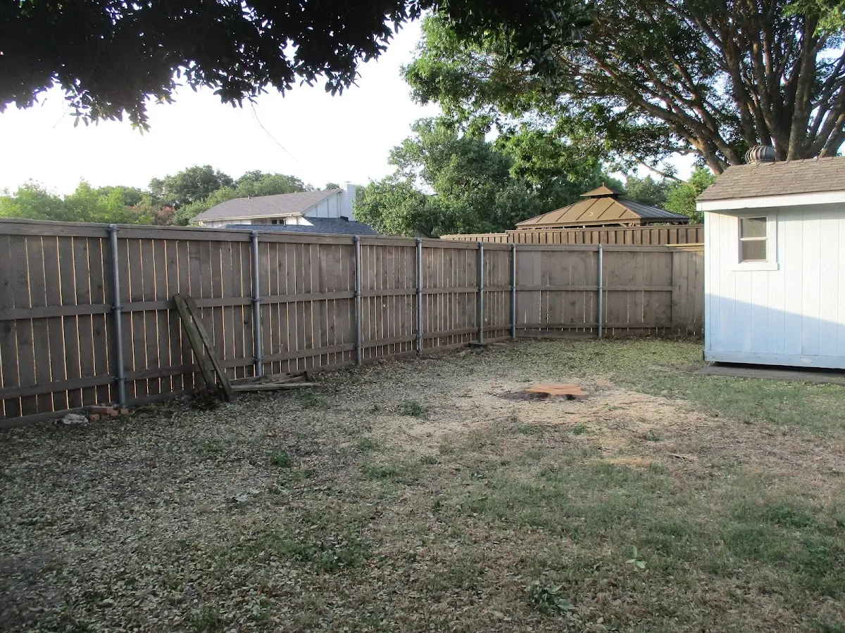 Cleared yard after professional tree removal in Peachtree City