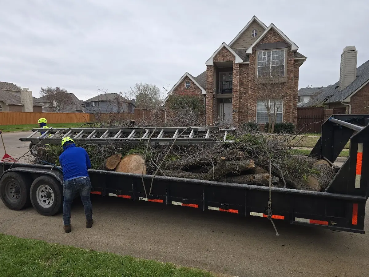 Expert Tree Removal with proper safety equipment in Peachtree City